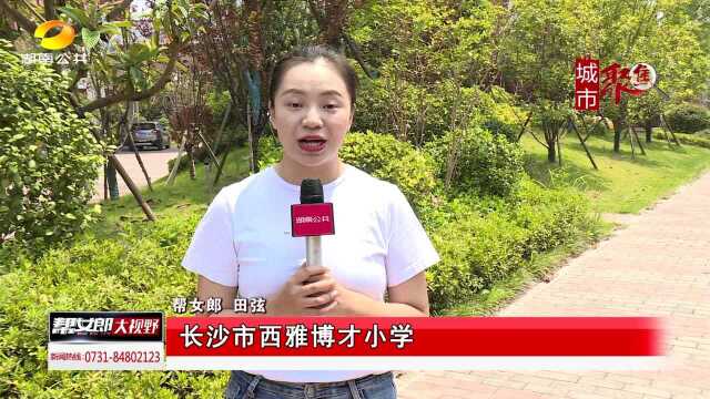 开学季ⷮŠ长沙岳麓区新增9所中小学及幼儿园