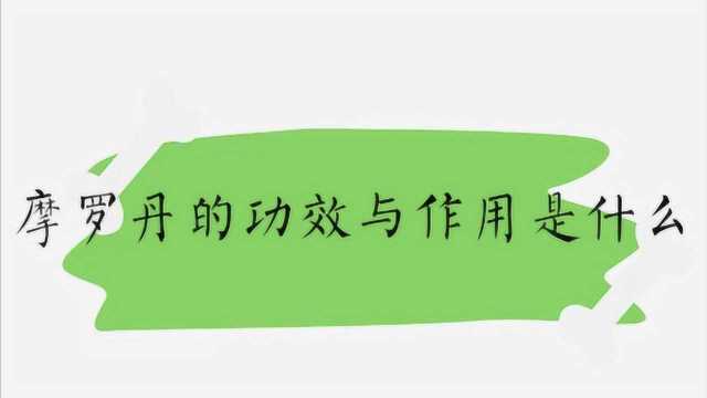 摩罗丹的功效与作用是什么