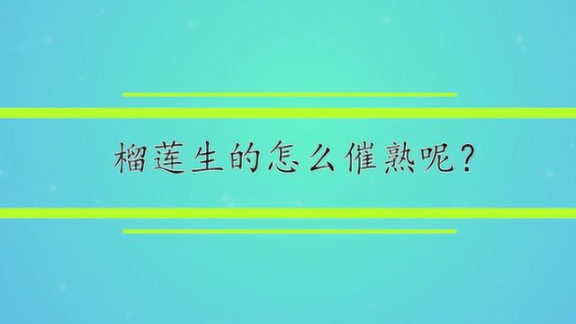 榴莲生的怎么催熟呢?