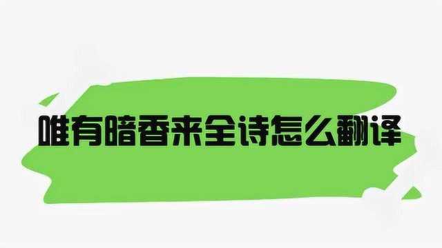 唯有暗香来全诗怎么翻译