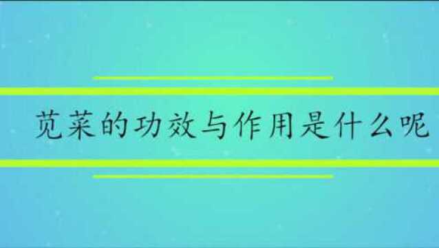 苋菜的功效与作用是什么呢