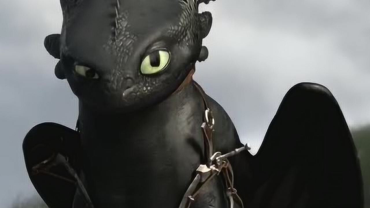 驯龙高手小黑龙生气撒娇竟大胆向主人扔石头太可爱了