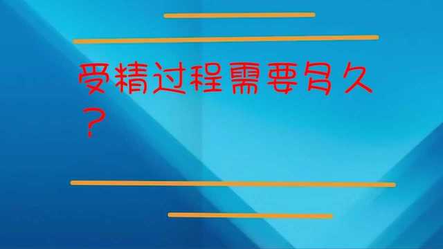 受孕过程需要多长时间?