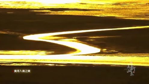 大美新山东丨黄河入海的样子你见过吗？黄蓝交汇泾渭分明，美炸了