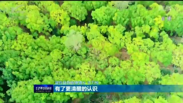 保护生态 推进乡村振兴 宜良:发展林下经济 拓宽农业增收路