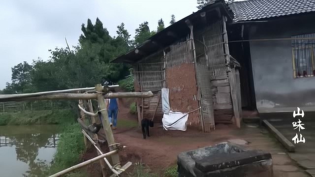 农村小伙带媳妇儿住半山腰,天天山中寻野味,日子逍遥赛神仙