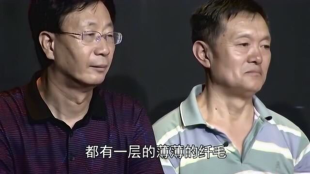 北京大学人民医院冯淬灵,谈谈“痰”,痰是如何产生的?