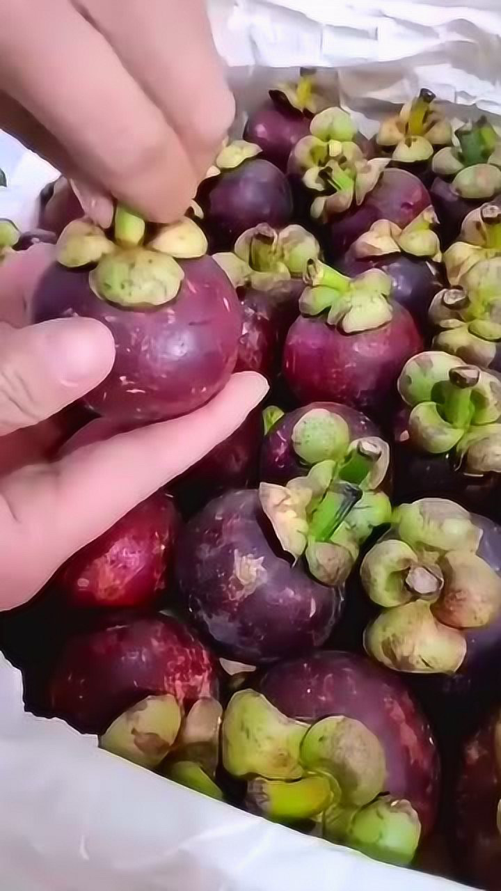 教你怎么吃山竹,给我买10斤你就会了!