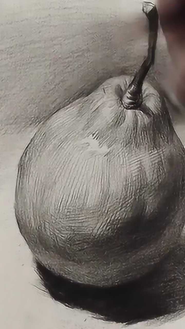 素描静物画梨