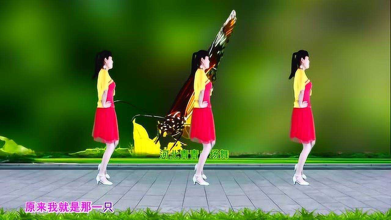 新32步踩点练习广场舞酒醉的蝴蝶学会歌舞合拍适合初学者