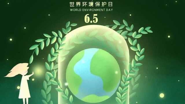 每天一个为什么:为什么把6月5日定为世界环境日?