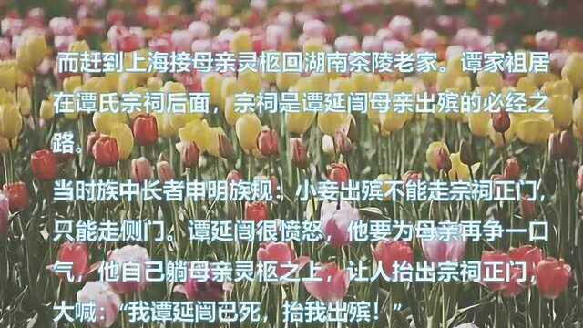 一生只爱一人,最孝顺,最痴情的“民国完人”谭延闿