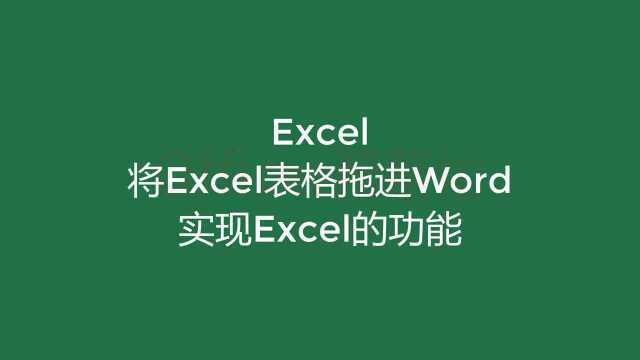 另类简单方式将excel表格到Word中,实现excel的所有功能