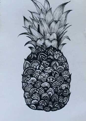 《菠萝》黑白色调——完整的绘画过程