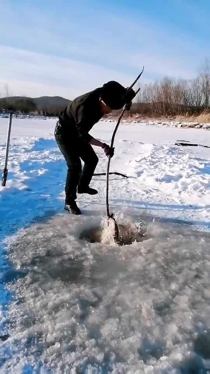 在东北冬天就这样捞鱼全过程