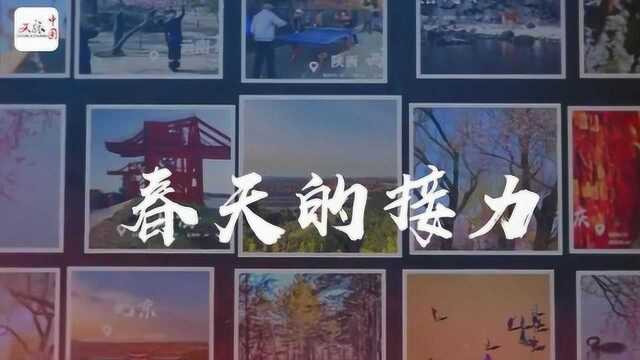 特别策划|春天的接力——文旅中国记者在祖国各地与您分享＂春分＂视频版