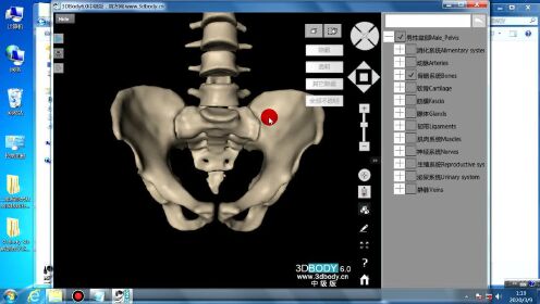 医学医疗-3DBody解剖学系列软件6.0中级版官方版(1)_腾讯视频