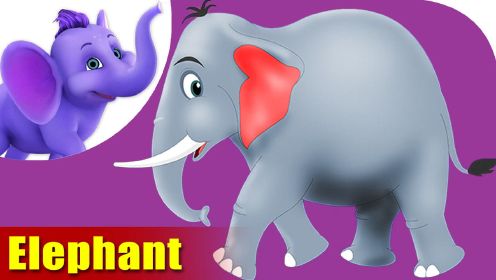 第09集  大象 Elephant