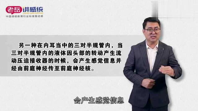 老岳讲感统——感统知识百科:听觉和前庭是两种关键的感觉接收器