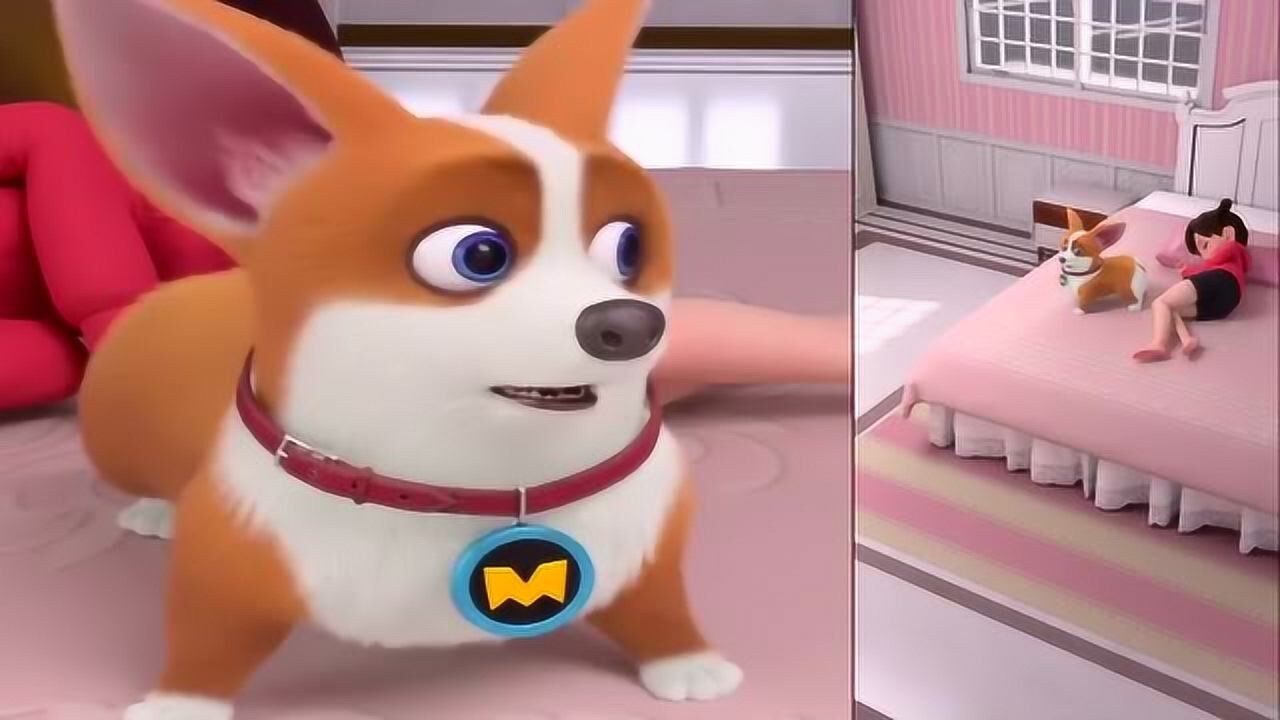 飞狗moco巴顿竟然自觉运动前面还没有食物它怎么了