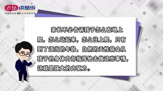 老岳讲感统——感统知识百科:孩子会在内驱力带动下发展能力