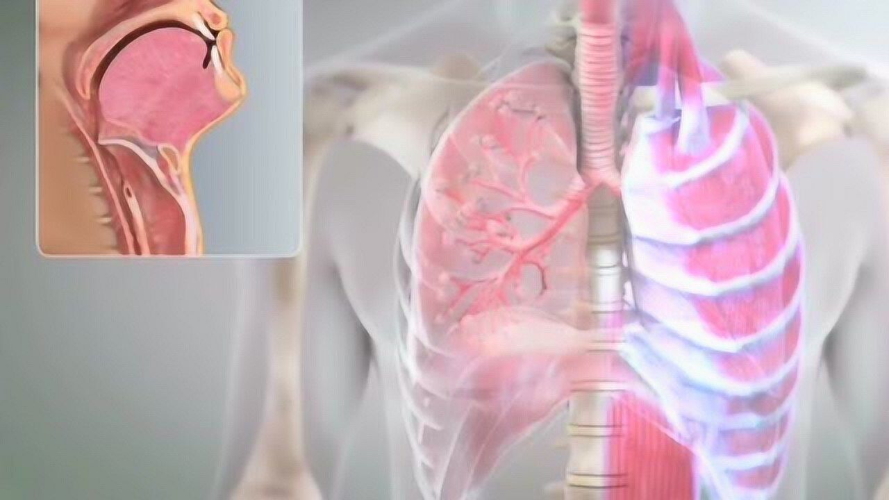 你们知道痰是什么吗,痰是怎么形成的,科普健康知识了解一下!_高清1080P在线观看平台_腾讯视频