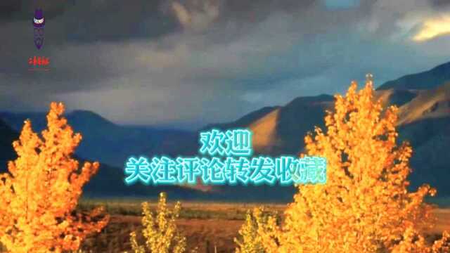 阿勇泽让精彩演绎《青稞美酒献给毛主席》不一样的韵味,回味无穷