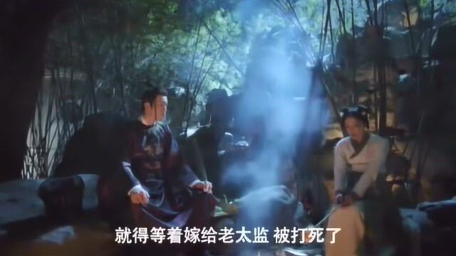 手可摘星辰:看暖心皇帝与毁容宫女之间的暖心小故事