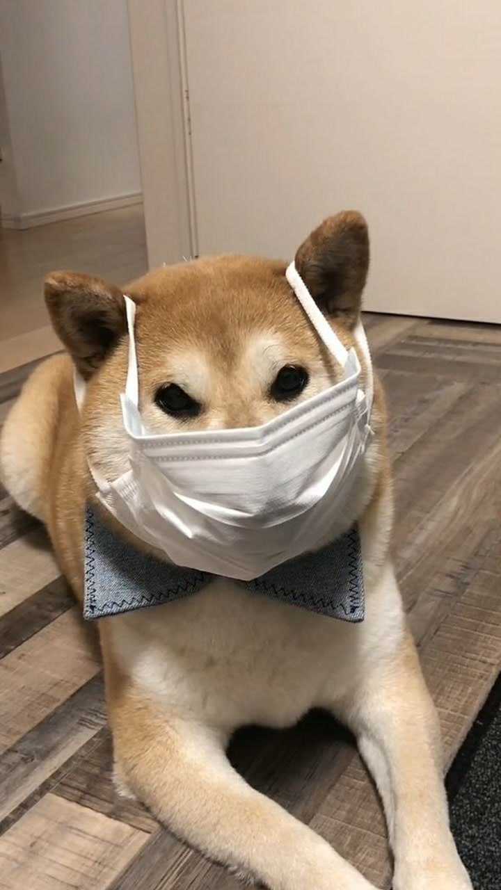 戴口罩,戴口罩,人人坚持戴口罩,现在也不能松懈!_腾讯视频