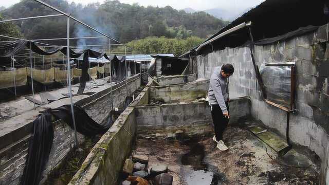 室外荒废2年的蛙池改养山泉水鱼,网友建议无法实施,愁坏小伙