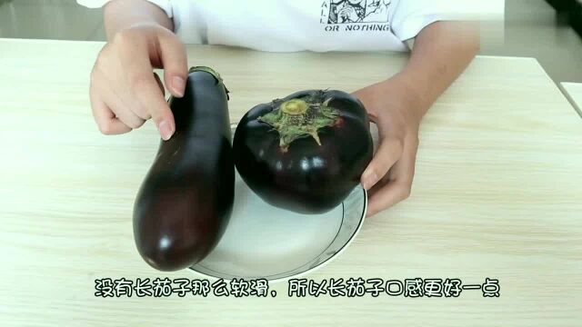 圆茄子和长茄子差别竟这么大?长知识了