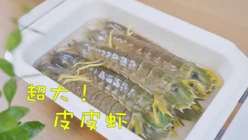 手臂粗长的皮皮虾吃到饱！世界上最大的皮皮虾-泰国富贵虾