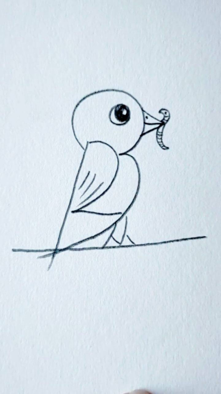 简笔画123就能画小鸟