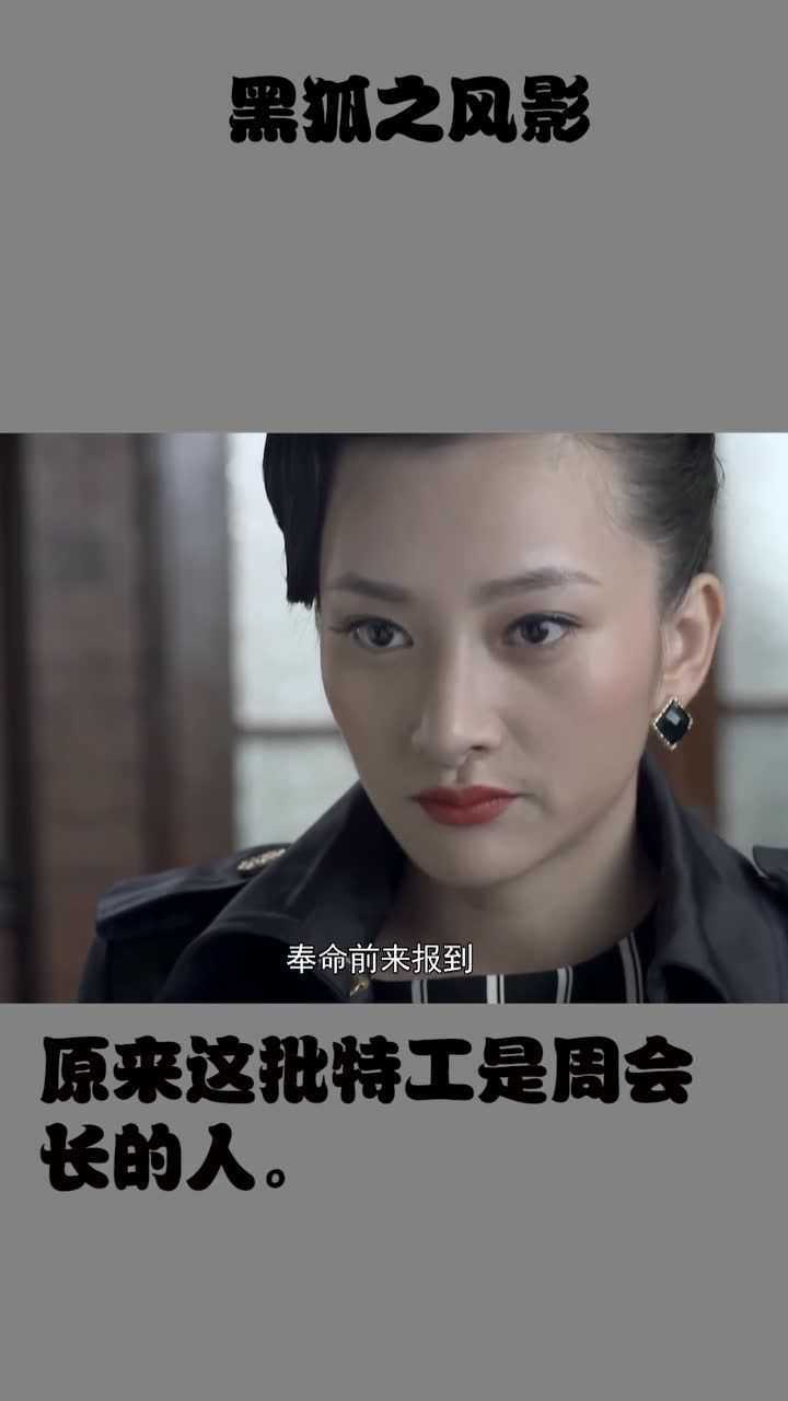 黑狐之风影原来这批特工是周会长的人