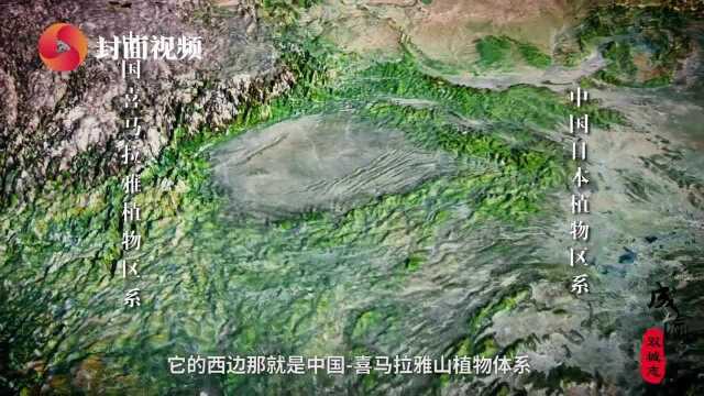 成渝双城志:山水相依④ | 沃野天府与雄浑山城 万余高等植物滋养巴蜀“聚宝盆”