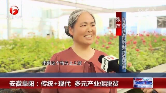 因地制宜发展扶贫产业 安徽阜阳:传统+现代 多元产业促脱贫