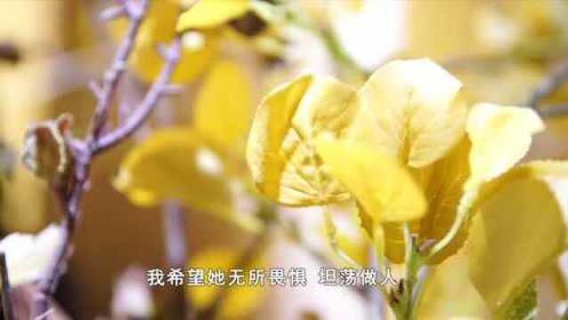 主播夜读:《面纱》节选——叶玉