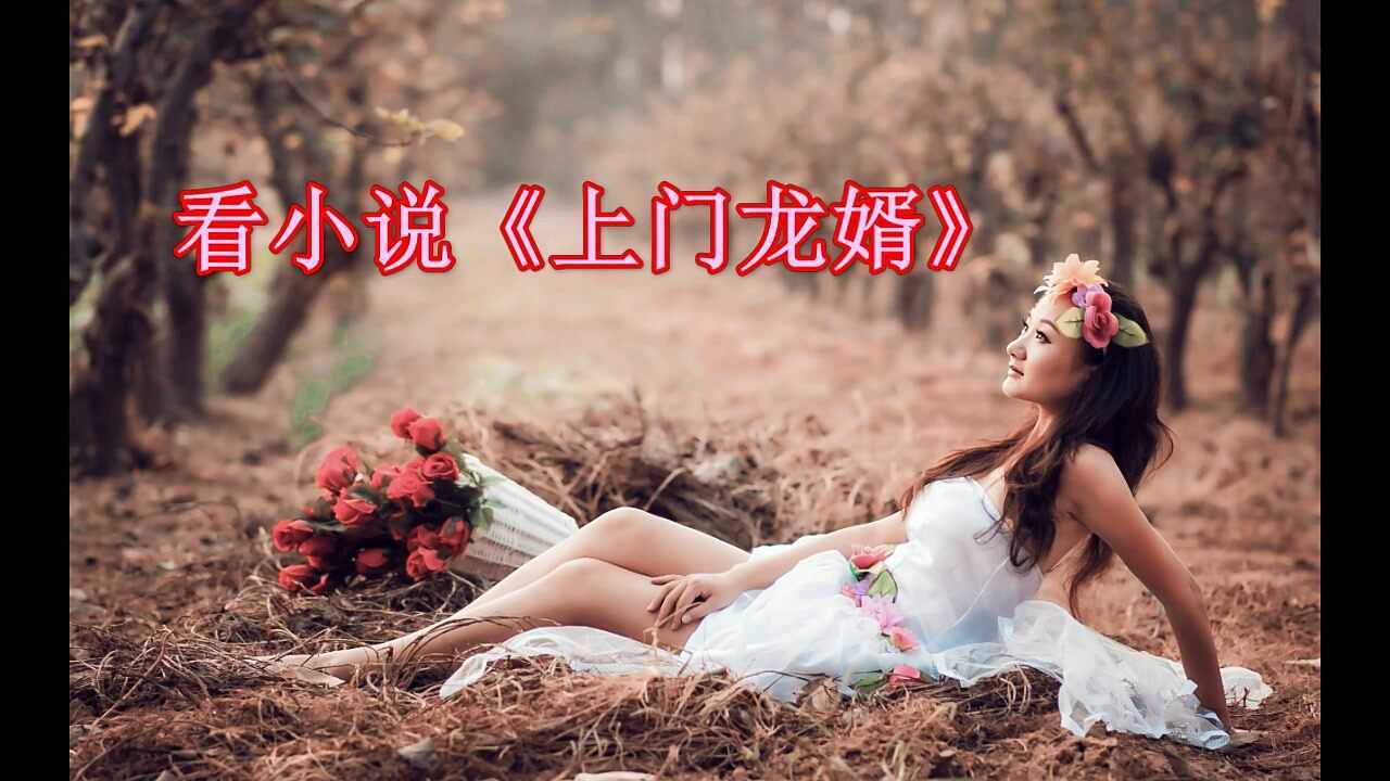 上门龙婿叶辰萧初然全本