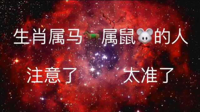 特好消息:生肖属马属鼠的人注意了,太准了