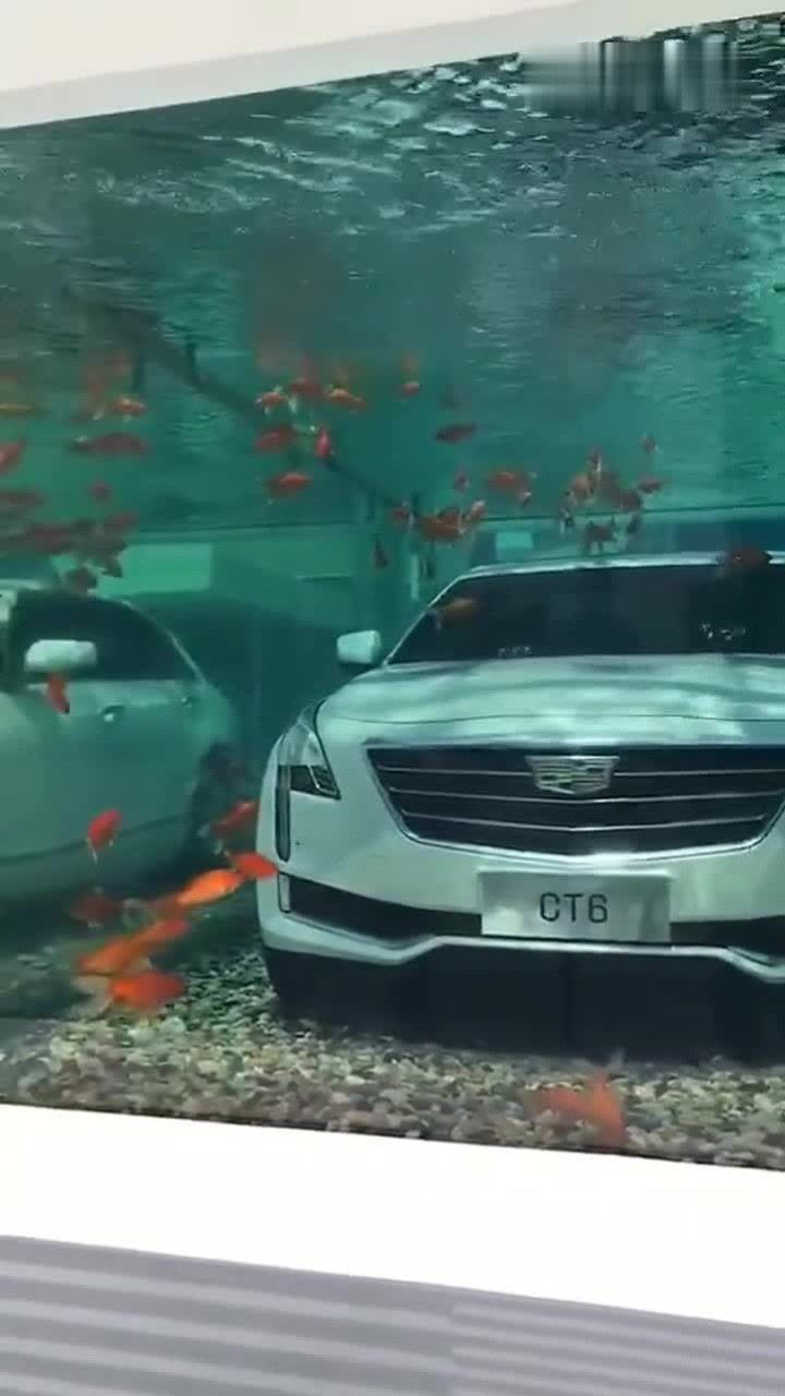 在水里的凯迪拉克,我永远忘不了追高铁的那辆凯迪拉克_腾讯视频