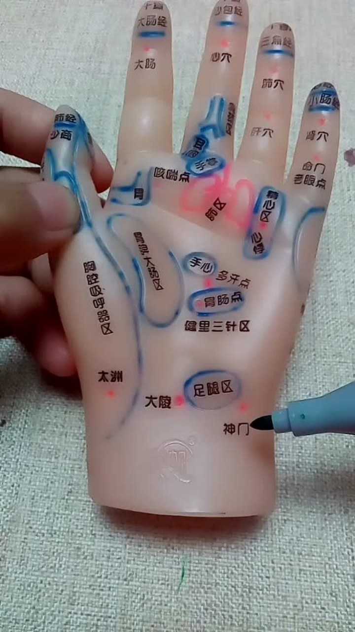 神门穴能够帮助我们入眠，具有补气安神的作用。_高清1080P在线观看平台_腾讯视频