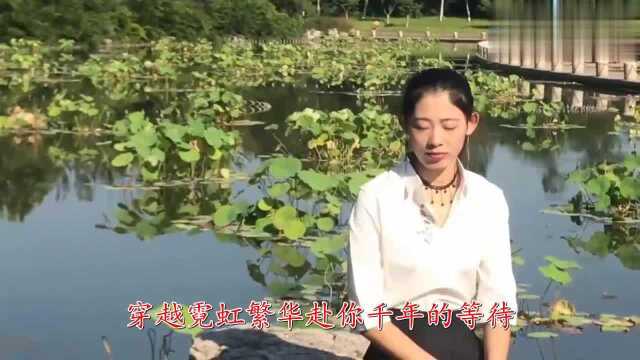 老牌歌手一首《燃烧我的爱》温柔的歌声,怀旧经典歌曲