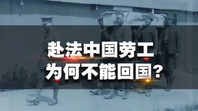 一战时,14万中国劳工来到法国,战争结束后,当地女子请求不能走