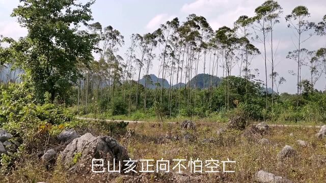 大师留图地:青龙出水喝形,已经被人家点中,大家看看此地如何