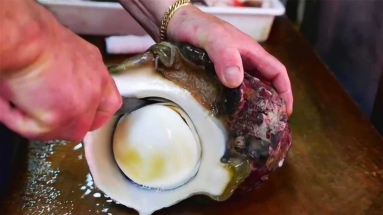 日本土豪买下天价海螺抱回家切开发现赚大了