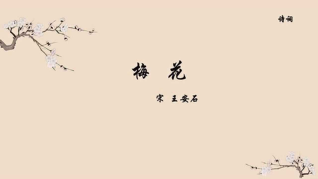 古诗词朗读《梅花》王安石&nbsp;墙角数枝梅,凌寒独自开&nbsp;小学