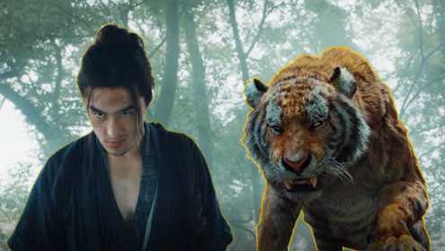 一次看过瘾!《伏虎武松》超燃打戏,武松铁拳退猛虎灭强敌_电影_高清1080P在线观看平台_腾讯视频