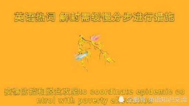 解封需缓慢分步进行措施的热词