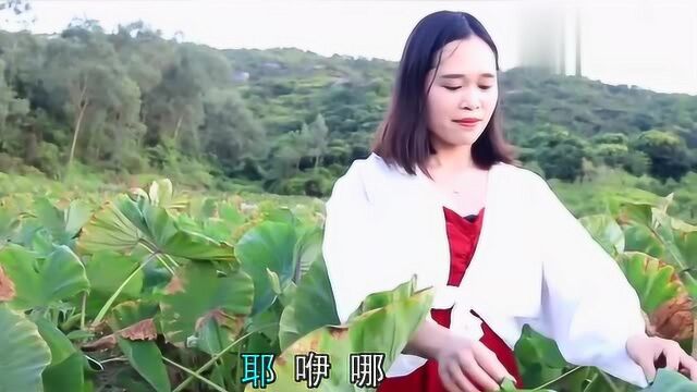 女歌手一首云南民歌《弥度山歌》,反复听了一遍又一遍