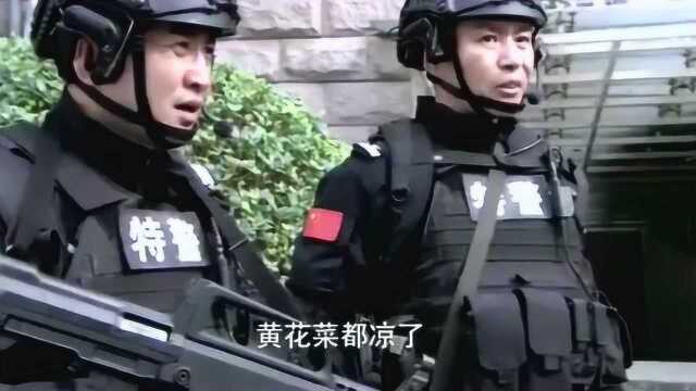 特警队长击毙歹徒,立马就被警察带走,队员们傻了!